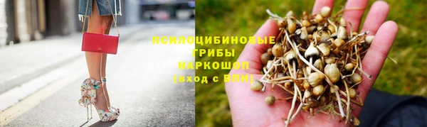 ECSTASY Алексин