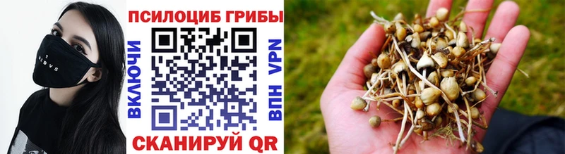 Псилоцибиновые грибы ЛСД Нестеров
