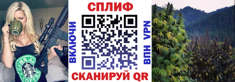 где можно купить   Нестеров  Канабис тримм 